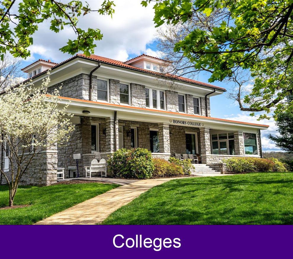 Colleges