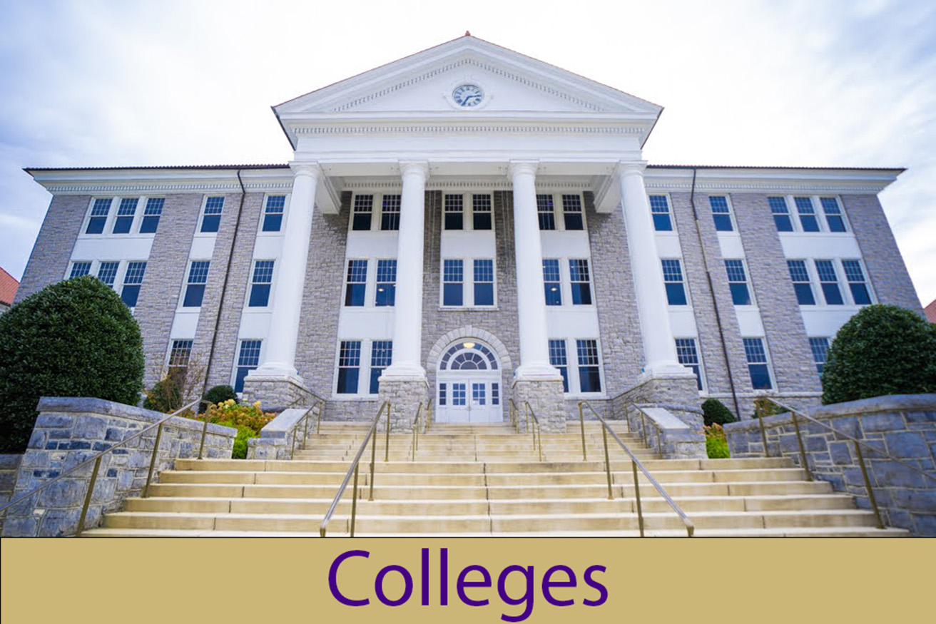 Colleges