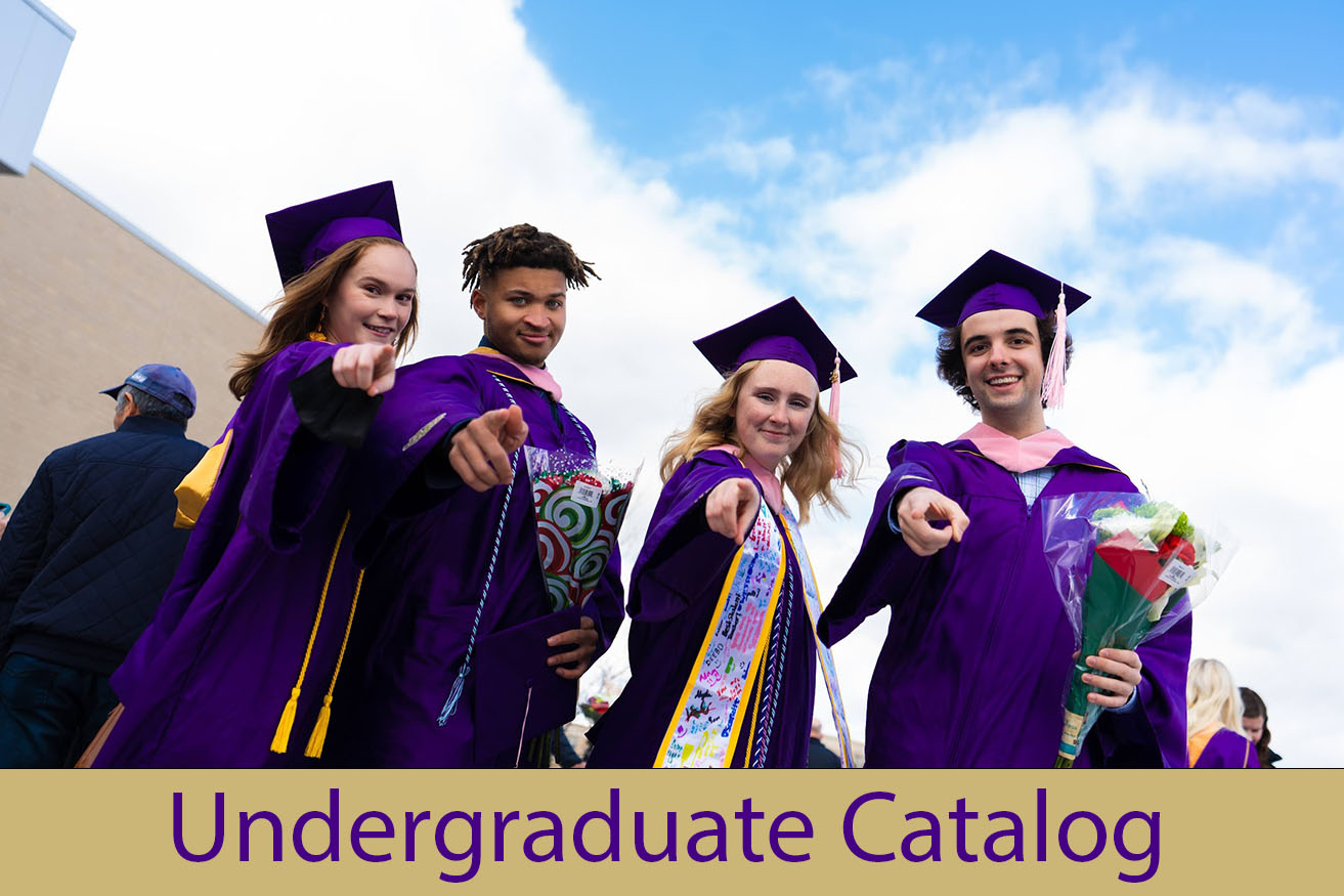 Undergraduate Catalog